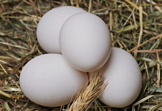 La dieta delle uova prevede il consumo quotidiano di uova di gallina. 