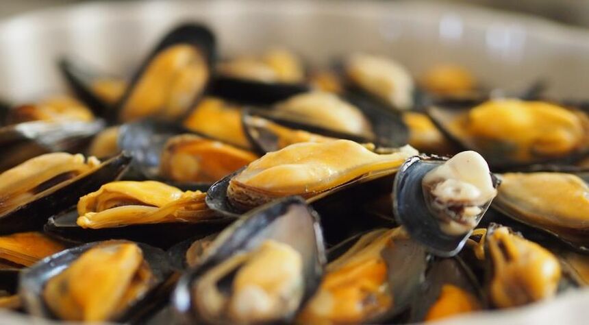 Cozze con una dieta proteica